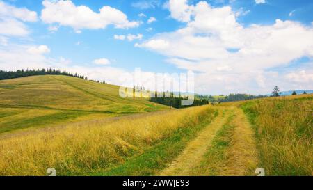 Pfad durch grasbewachsene Wiese. Grüne Hügel, die in die Ferne Rollen. Blauer Himmel über dem fernen Bergrücken am Horizont. Ländlicher Tourismus im Sommer. Stockfoto