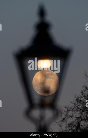 London, Großbritannien. 24. März 2024. Wetter in Großbritannien – der Vollmond dieses Monats, bekannt als der Worm Moon, scheint in einer traditionellen Straßenlaterne im Hyde Park festzustecken. Quelle: Stephen Chung / Alamy Live News Stockfoto