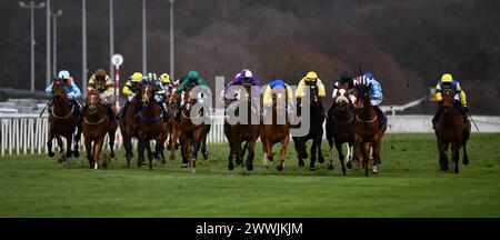 Mr. Professor Gewinner der William Hill Lincoln Stockfoto