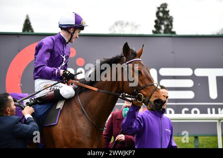Herr Professor Racehorse Stockfoto