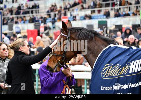 Herr Professor Racehorse Stockfoto