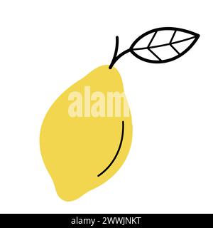 Ganze frische Zitrone mit Zweig und Blatt. Handgezeichnete Sketch-Ikone von Zitrusfrüchten. Isolierte Vektorillustration im Doodle-Line-Stil. Stock Vektor