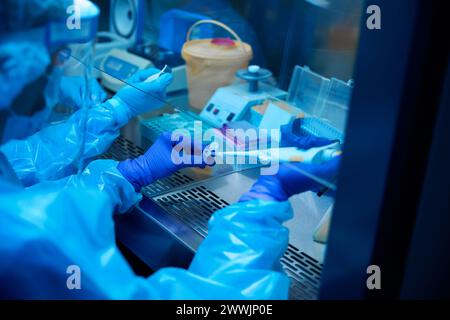 Laborarbeiter verwenden Laborgeräte bei ihrer Arbeit Stockfoto