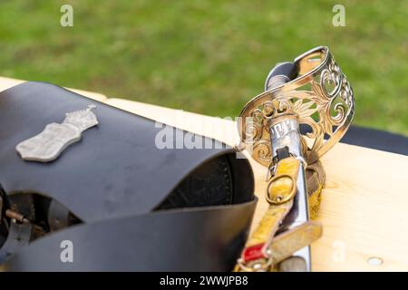 Husarensäbel mit schwarzer Tasche, verziert mit dem ungarischen königlichen Wappen auf einem offenen Feld mit grünem Hintergrund Stockfoto