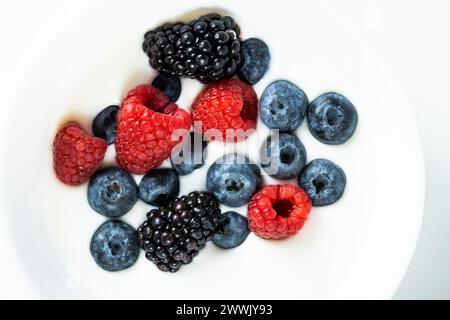 Mischung aus frischen Beeren in einer Schüssel mit Joghurt: himbeere, brombeere, Heidelbeere auf weißem Hintergrund Stockfoto
