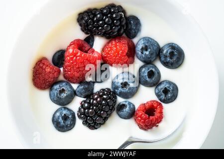 Mischung aus frischen Beeren in einer Schüssel mit Joghurt: himbeere, brombeere, Heidelbeere auf weißem Hintergrund Stockfoto