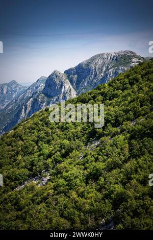 Die Berge rund um die Bucht von Kotor steigen in Montenegro schnell auf. Stockfoto