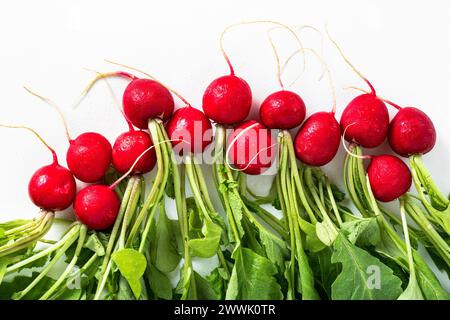 Frischer Rettich mit Blättern auf weiß Stockfoto