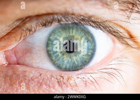 Beschreibung: Männliches Blau-Grünes Auge Mit Wimpern. Pupille geschlossen. Nahaufnahme. Strukturelle Anatomie. Makrodetails Für Menschliche Blende. Stockfoto