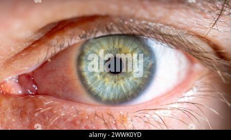 Beschreibung: Männliches Blau-Grünes Auge Mit Wimpern. Pupille geschlossen. Nahaufnahme. Strukturelle Anatomie. Makrodetails Für Menschliche Blende. Stockfoto