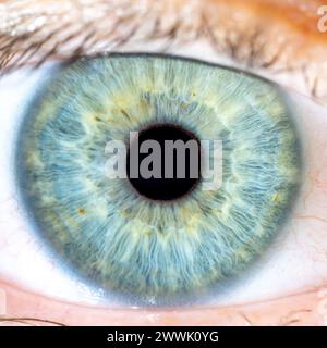 Beschreibung: Hochauflösendes, grün-blau gefärbtes männliches Auge mit geschlossener Pupille. Nahaufnahme. Strukturelle Anatomie. Menschliche Iris. Makrodetails. Stockfoto