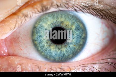 Beschreibung: Hohe Vergrößerung des blau-grün gefärbten männlichen Auges mit Wimpern. Pupille Geöffnet. Nahaufnahme. Strukturelle Anatomie. Makrodetails Für Menschliche Blende. Stockfoto