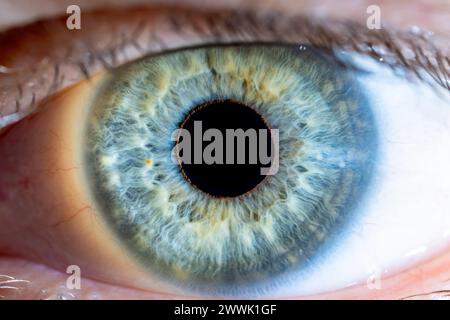 Beschreibung: Hochauflösendes männliches grünblaues Auge mit gelben Pigmentflecken und weit geöffneter Pupille. Nahaufnahme. Strukturelle Anatomie. Menschliche Iris. Makr Stockfoto