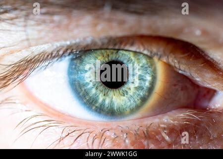 Beschreibung: Männliches Blau-Grünes Auge Mit Wimpern. Pupille Geöffnet. Nahaufnahme. Strukturelle Anatomie. Makrodetails Für Menschliche Blende. Stockfoto