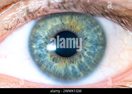 Beschreibung: Hochauflösendes männliches grünblaues Auge mit gelben Pigmentflecken und weit geöffneter Pupille. Nahaufnahme. Strukturelle Anatomie. Menschliche Iris. Makr Stockfoto