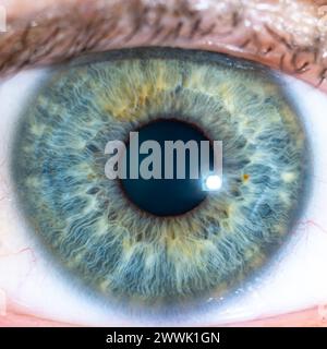 Beschreibung: Hochauflösendes männliches grünblaues Auge mit gelben Pigmentflecken und weit geöffneter Pupille. Nahaufnahme. Strukturelle Anatomie. Menschliche Iris. Makr Stockfoto