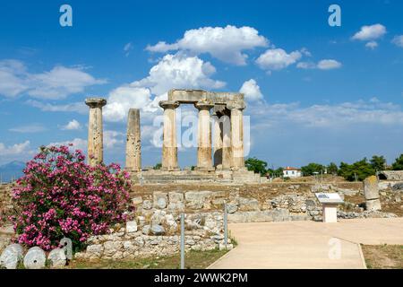 Der archaische Tempel des Apollo, im antiken Korinth, Griechenland. Es wurde mit monolithischen dorischen Säulen um 530 v. Chr. erbaut. Stockfoto