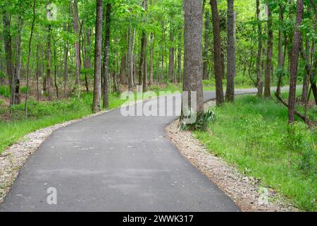 Laufpfad im wald Stockfoto