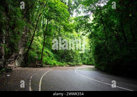 Wet Winding Road in Forrest in Fern Gully Jamaica Stockfoto