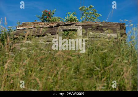 Radocyna, verlassenes Dorf, Region Lemko, Ostpolen Stockfoto