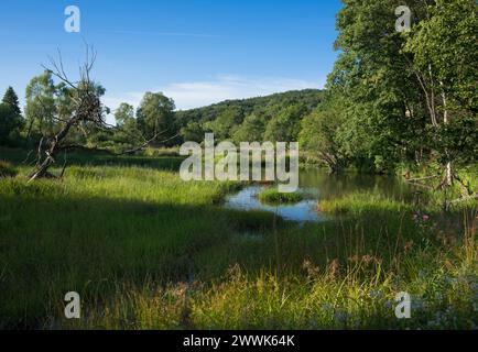 Radocyna, verlassenes Dorf, Region Lemko, Ostpolen Stockfoto