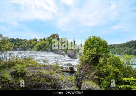 Beschreibung: Touristen beobachten die massiven Wasserfälle unterhalb der Burg Laufen am Rheinfall von den Felsen aus. Rheinfall, Neuhausen am Rheinfall, Schaffh Stockfoto