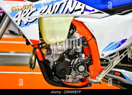 Kurbelgehäuse, Kupplungskette, Tank, Fußpolster und Motorblock des Motorrads Stockfoto