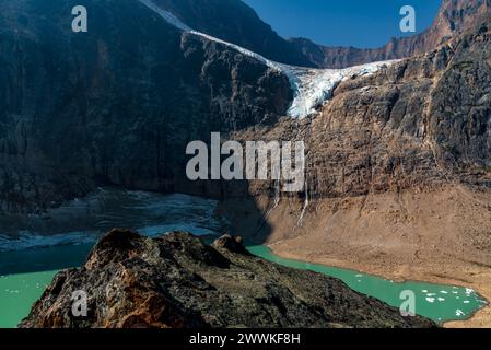 Nahaufnahme eines gräulichen Murmeltieres ( Marmota caligata), der im Sommer auf einem Felsen in der Sonne am Edith Cavell Glacier Mountain im Jasper National Park sitzt Stockfoto