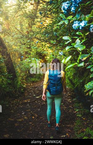 Beschreibung: Touristenfrau, die während der goldenen Stunde auf dem Dschungelpfad neben dem Wasserkanal durch den lichtdurchfluteten Madeiranischen Regenwald spaziert. Levada von Stockfoto