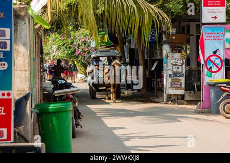 Ein traditioneller Pferdewagen (Cidomo) wartet auf Touristen auf den indonesischen Gili-Inseln vor der Küste von Lombok. Stockfoto