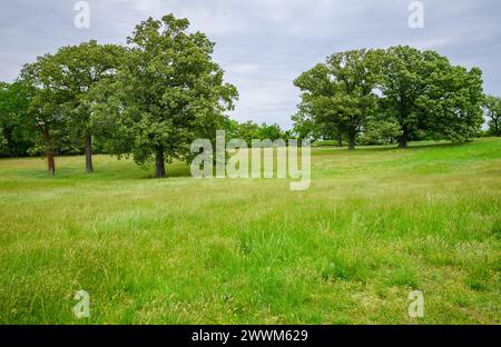 Yorktown Battlefield, Colonial National Historical Park in Virginia, USA Stockfoto