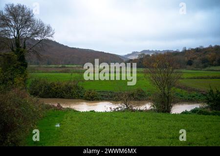 Rainy Serenity: Ein sanfter Bach fließt durch nasses Gras und schafft eine beruhigende und natürliche Szene inmitten des Regens. Stockfoto