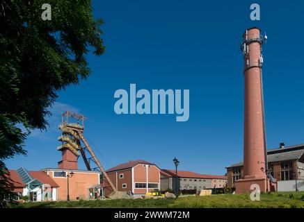 Salzbergwerk Bochnia, Polen Stockfoto