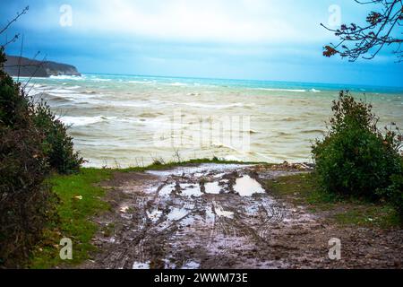 Erkunden Sie die zerklüftete Schönheit eines matschigen Bodens an der Küste, geprägt von Reifenspuren, die die dynamische Interaktion von Natur und menschlicher Aktivität zeigen. Stockfoto