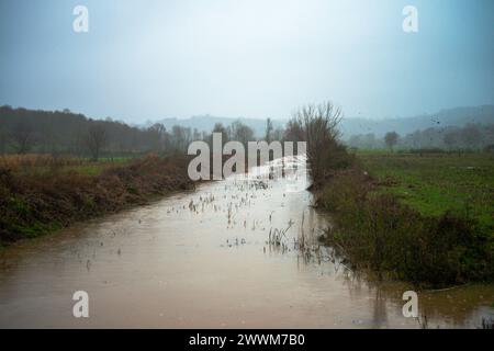 Tauchen Sie ein in die ruhige Schönheit eines Flusses, der sich durch regengeküsste Büsche schlängelt. Regentropfen tanzen auf Laub. Stockfoto
