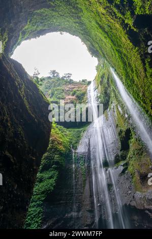 Der Madakaripura Wasserfall ist der höchste Wasserfall in Java Stockfoto