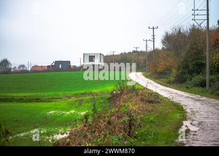 Glistening Path: Regengeküsste Asphaltstraße im Herzen der Natur, die eine reflektierende und ruhige nasse Oberfläche schafft. Stockfoto