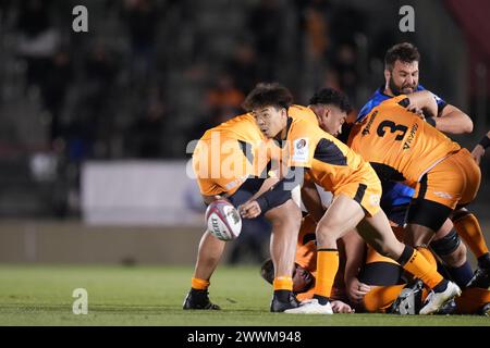 Shinobu Fujiwara von Kubota Spears während des Spiels der Japan Rugby League One 2023-24 zwischen Kubota Spears Funabashi Tokyo-Bay und Saitama Panasonic Wild Knights im Prince Chichibu Memorial Stadium in Tokio, Japan am 22. März 2024. Quelle: AFLO/Alamy Live News Stockfoto