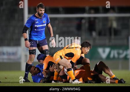 Shinobu Fujiwara von Kubota Spears während des Spiels der Japan Rugby League One 2023-24 zwischen Kubota Spears Funabashi Tokyo-Bay und Saitama Panasonic Wild Knights im Prince Chichibu Memorial Stadium in Tokio, Japan am 22. März 2024. Quelle: AFLO/Alamy Live News Stockfoto