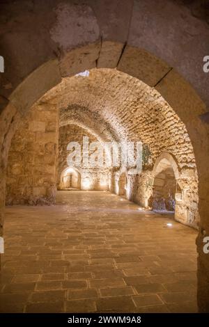 Schloss ajloun aus der Zeit um 1185 erbaut auf dem Berg auf auf 1250 m in jordanien Stockfoto