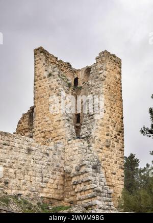 Schloss ajloun aus der Zeit um 1185 erbaut auf dem Berg auf auf 1250 m in jordanien Stockfoto