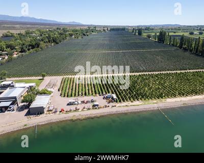 Wunderschöner Blick aus der Vogelperspektive auf die Weinberge und Traubenplantagen für das Weingut Stockfoto