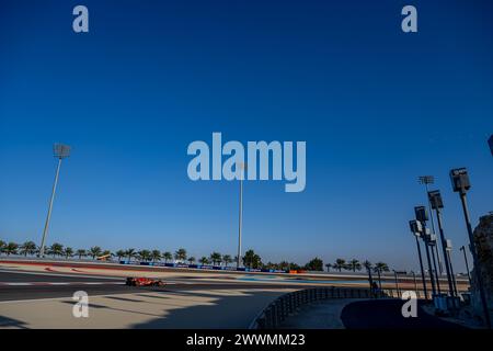 BAHRAIN INTERNATIONAL CIRCUIT, BAHRAIN – 21. FEBRUAR: Carlos Sainz, Ferrari SF-23 während der Bahrain-Tests auf dem Bahrain International Circuit am 21. Februar 2024 in Sakhir, Bahrain. (Foto: Michael Potts/BSR Agency) Stockfoto