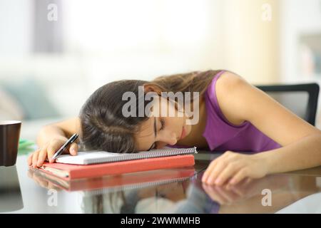 Müder überarbeiteter Schüler, der zu Hause über dem Notizbuch schläft Stockfoto