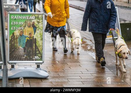 Blindenhunde und Straßenbehinderungen in Preston, Lancashire. Wetter in Großbritannien. 25. März 2024. Wir werden Regen haben. Starke Regenfälle und eine moderate Brise, während im Nordwesten Englands noch mehr Regen fällt Credit MediaWorldImages/AlamyLiveNews Stockfoto