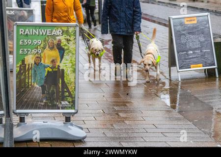 Blindenhunde und Straßenbehinderungen in Preston, Lancashire. Wetter in Großbritannien. 25. März 2024. Wir werden Regen haben. Starke Regenfälle und eine moderate Brise, während im Nordwesten Englands noch mehr Regen fällt Credit MediaWorldImages/AlamyLiveNews Stockfoto