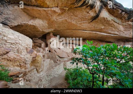 Eine abgeschiedene alte Klippenwohnung aus Stein und Holz, eingebettet in eine große Höhle in einer Schlucht, umgeben von grünem Laub Stockfoto