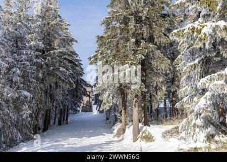 Verschneite und mit Raureif verzierte Winterlandschaft am Aussichtsturm vom Auersberg, Eibenstock, Erzgebirge, Sachsen, Deutschland *** Schnee-Winter l Stockfoto