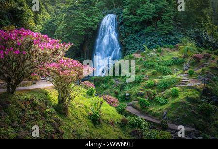 Sonne mit Sonnenstrahlen über Wald und Wasserfall Stockfoto