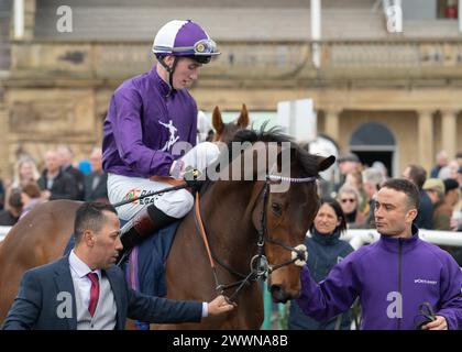 Am 23. März 2024 gewann er den William Hill Lincoln in Doncaster für Dominic French Davis und David Egan Stockfoto